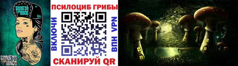 гидра как войти  Слюдянка  Галлюциногенные грибы Psilocybine cubensis 
